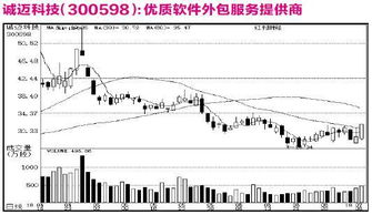 公司研究之機(jī)構(gòu)關(guān)注個股